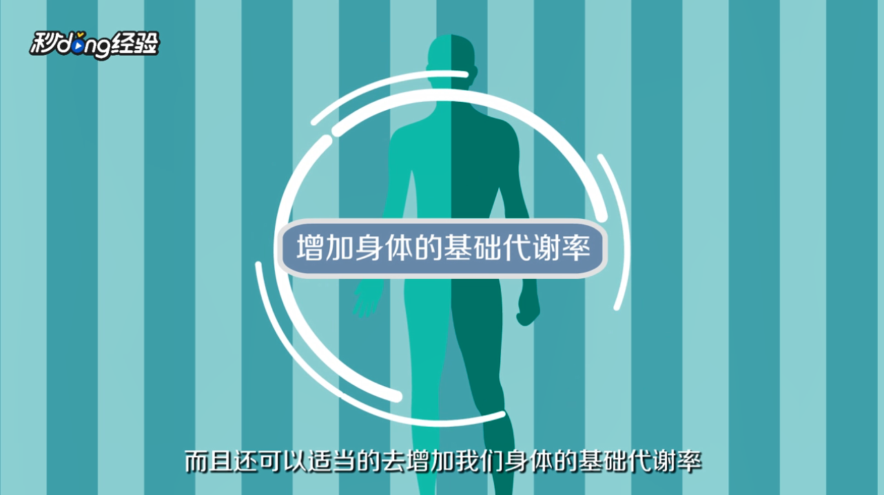 如何减腹部脂肪