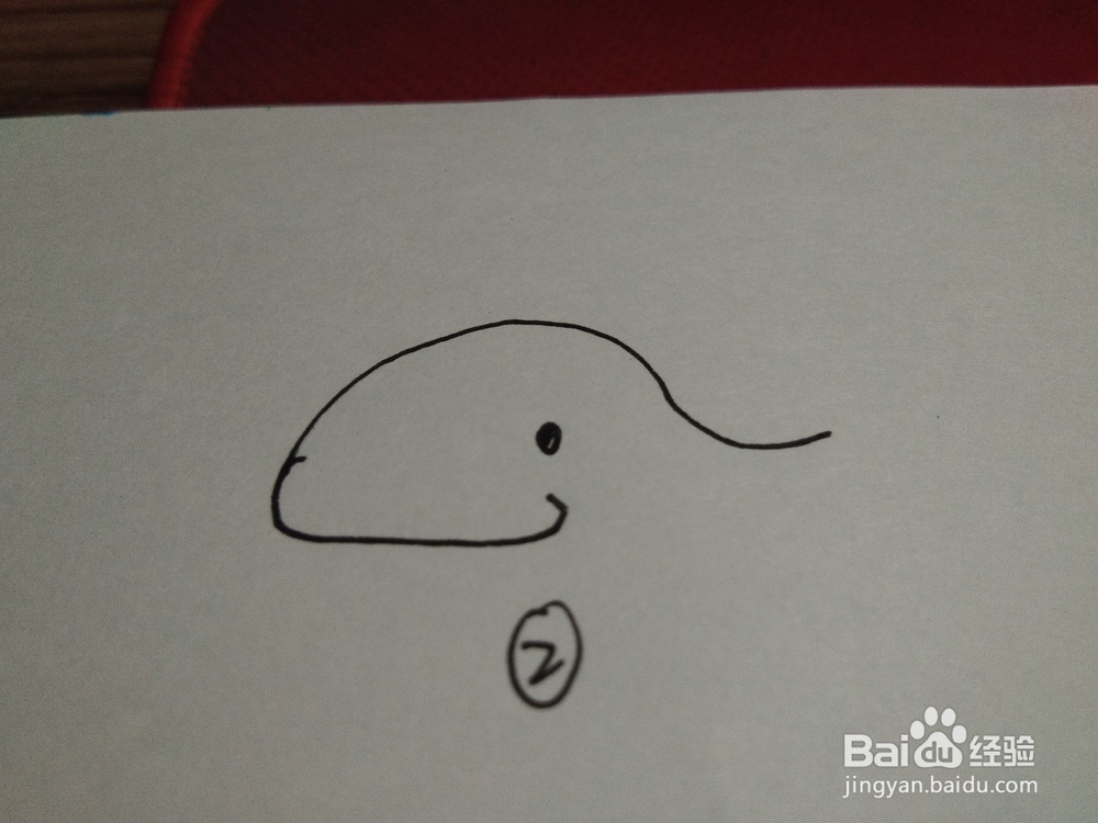 教宝宝画简笔画，海豚