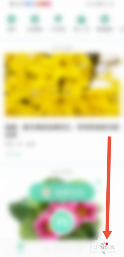如何使用形色APP查看积分规则?