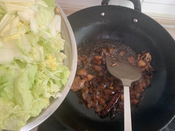 冬季里北方人最爱的白菜豆腐粉条