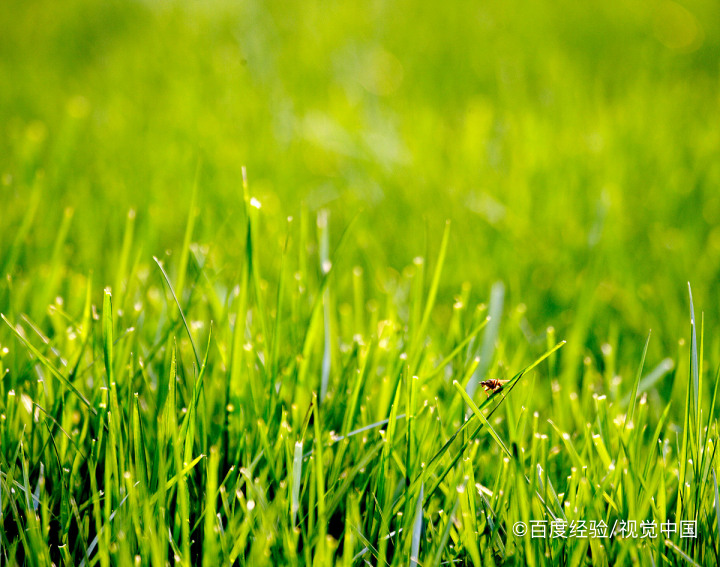 景区级别是怎么划分