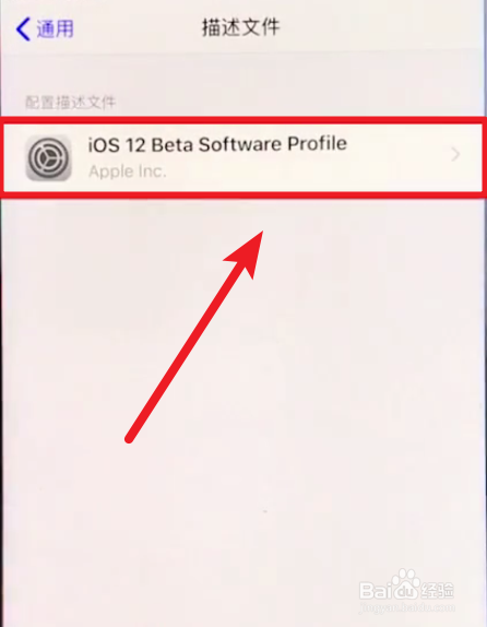 ios12测试版怎么升级到正式版