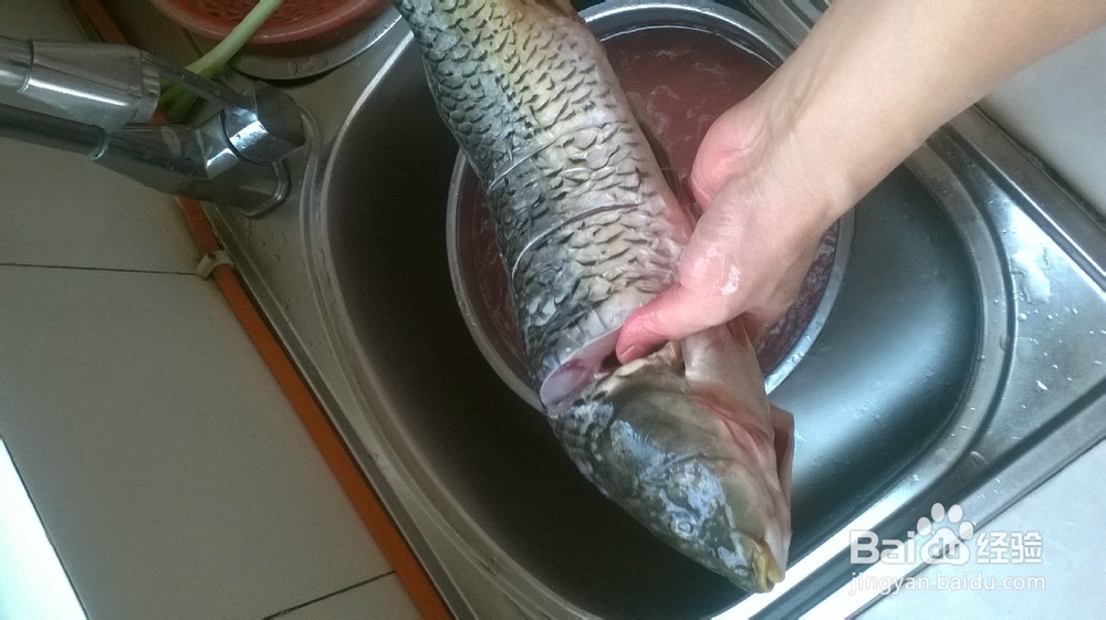 营养美食 红烧鲤鱼