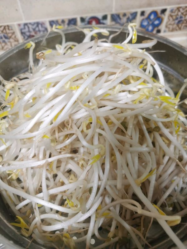 凉拌绿豆芽韭菜