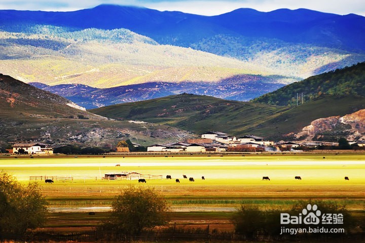 逃离人海!十月这些小众景点人少景美!