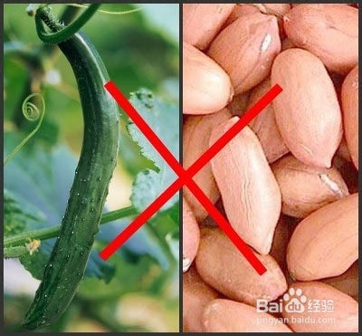 各种食物相克的总结