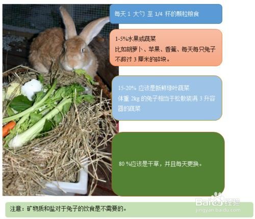 怎样能让兔子不吃自己孩子