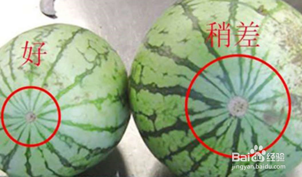 挑选皮薄汁甜大西瓜的技巧