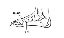 忙里偷闲进行穴位按摩，达到防病祛病，养生保健