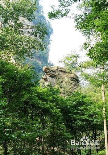 寒假去张家界自助游贴士