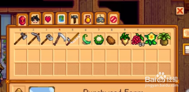 星露谷背包怎么扩大