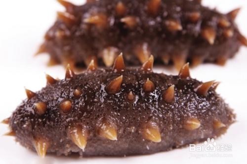 海参的作用以及食用禁忌有哪些