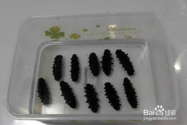怎样发海参？