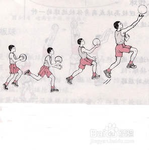 怎样学习打篮球?
