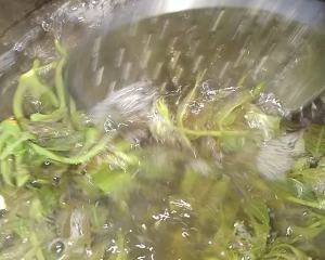 养生食补香椿芽拌豆腐的做法