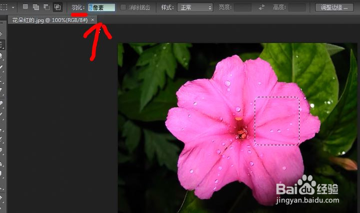 如何使用photoshop选区工具中的矩形选区工具