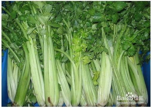 吃芹菜的好处有哪些？