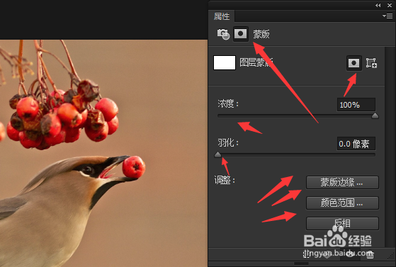 ps怎么用图片滤镜？