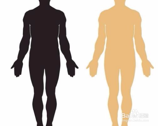 散打入门的小常识