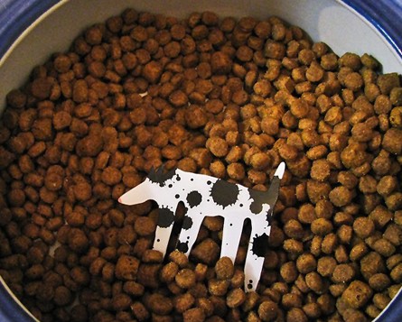 狗狗经常吃米饭可以吗？