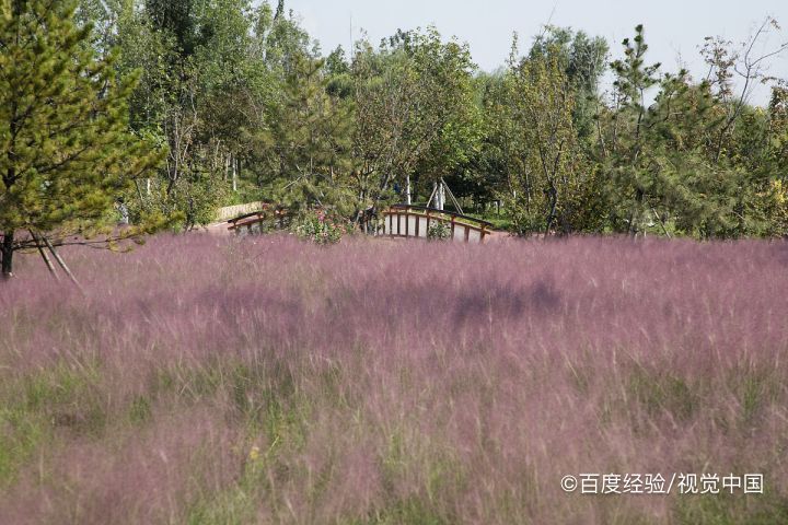 东湖云杉郡怎么预约