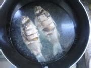 健康美食之萝卜丝鲫鱼汤的家常做法