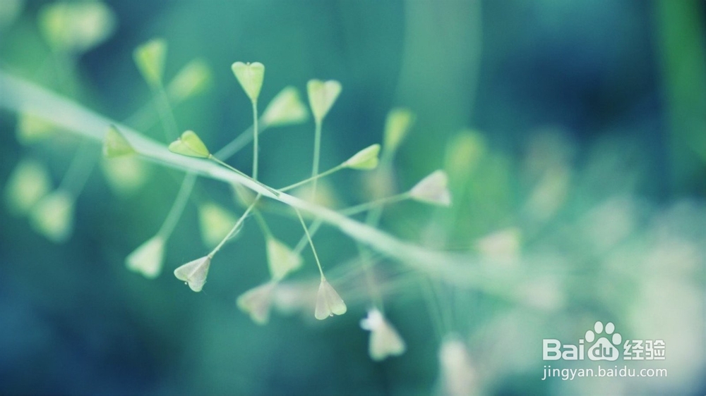 经济信息资源开发与利用：[42]复习总结四十二