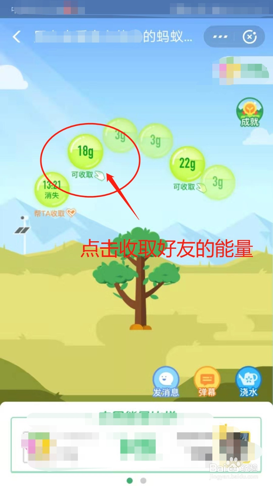 支付宝蚂蚁森林怎么种树呢？