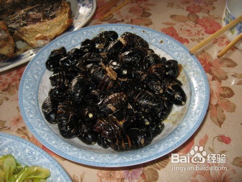 梦想的阳光生活