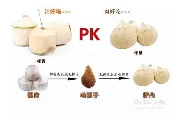椰皇怎么打开
