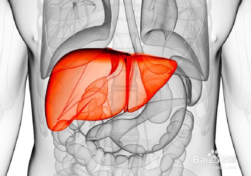 转氨酶升高的原因？