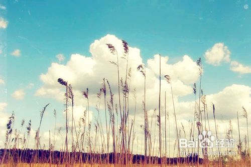 怎样训练童声合唱