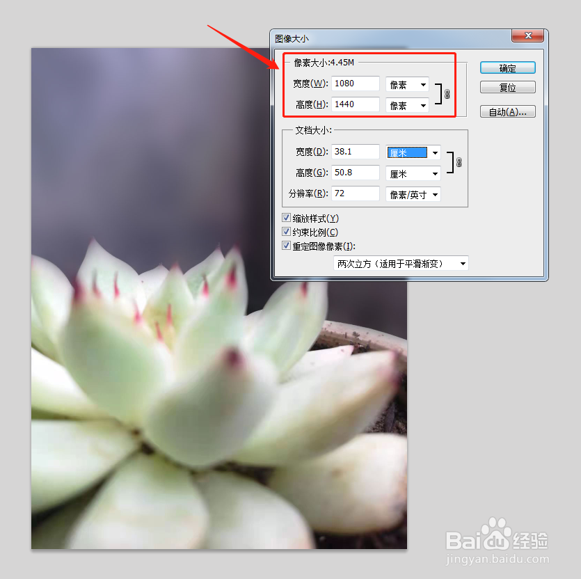 怎么用PS修改图片大小