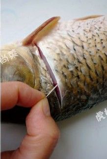 蒜爆鱼--3步搞定风靡徐州多年的蒜爆鱼