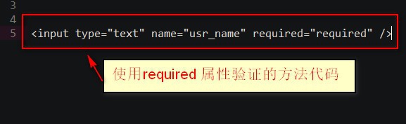 使用什么验证input域的模式
