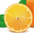 闹心的毛孔粗大怎么办？