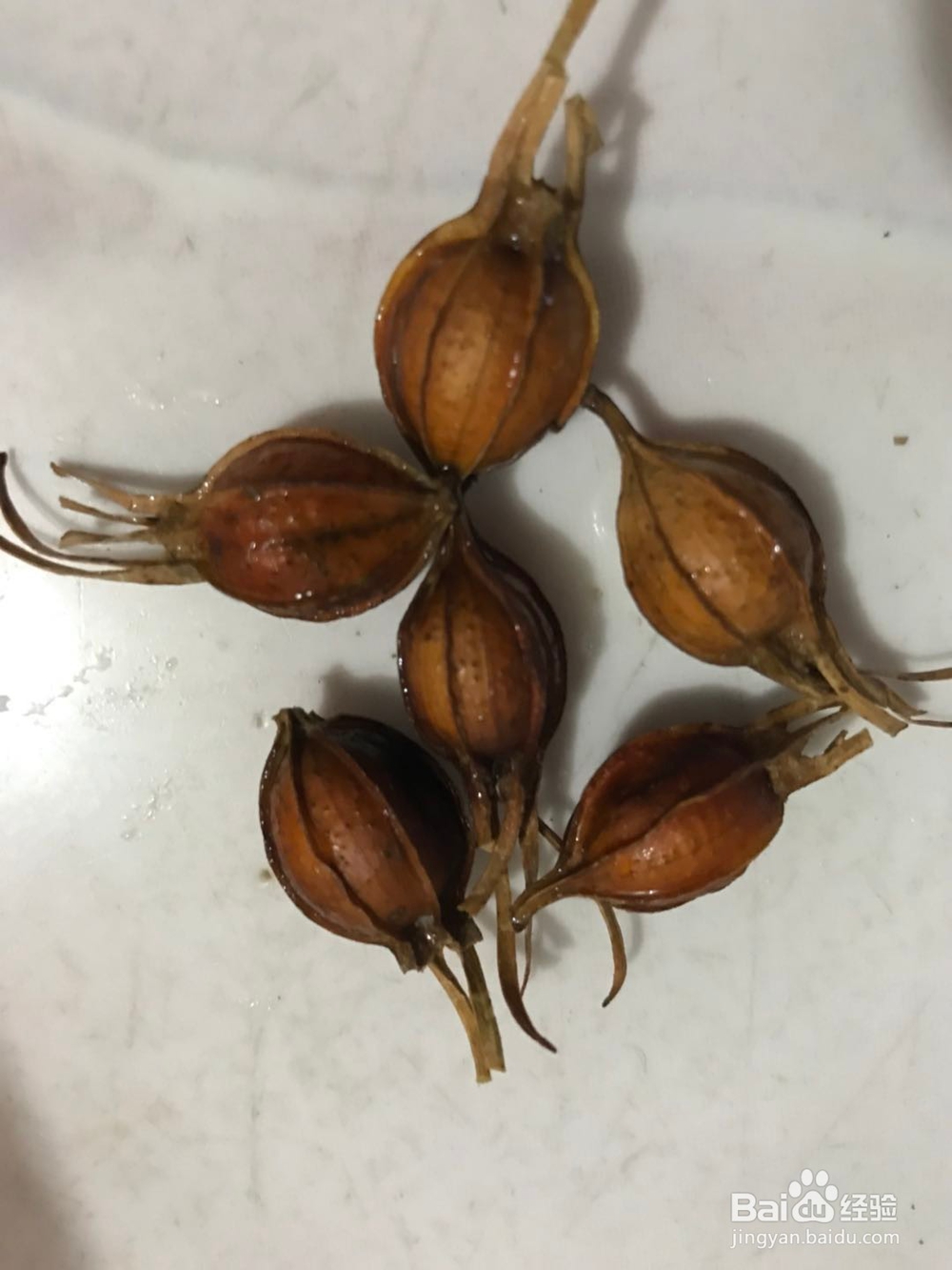 妈妈包的粽子,才是端午节的味道