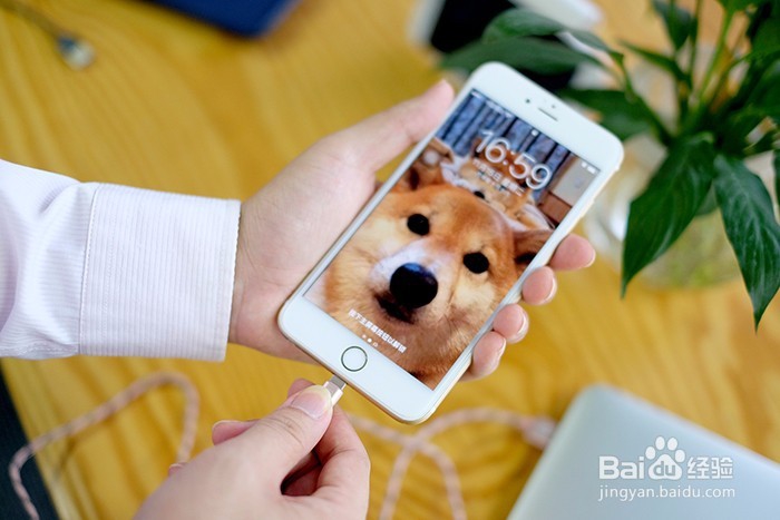 牛人首创一口两用,锐舞的数据线你见过没