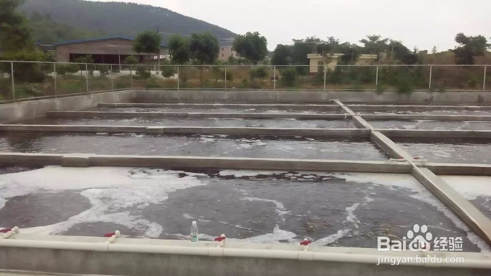 化妆品废水怎么处理