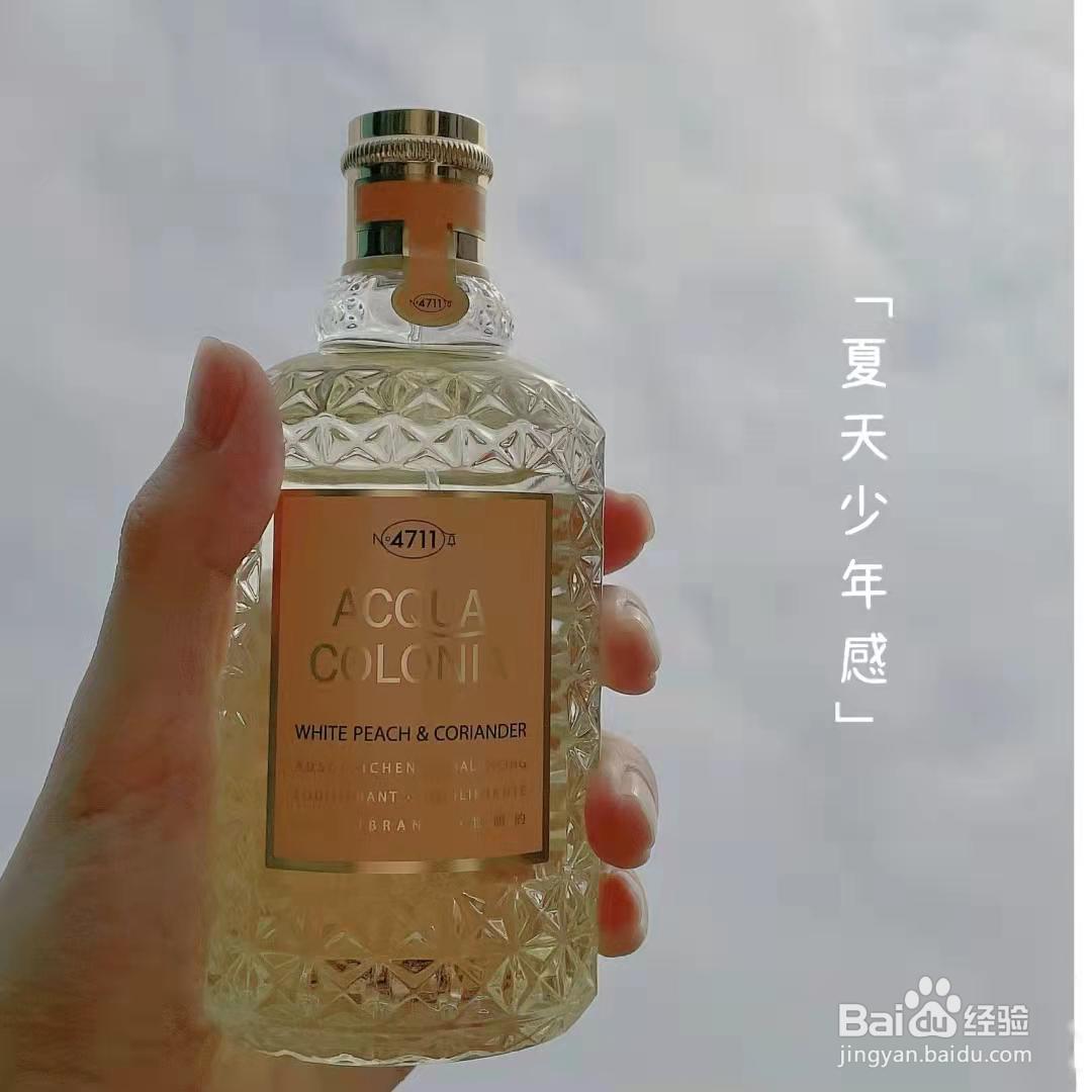 少女感满满，白桃芫荽