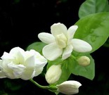 女性护理脸部的措施