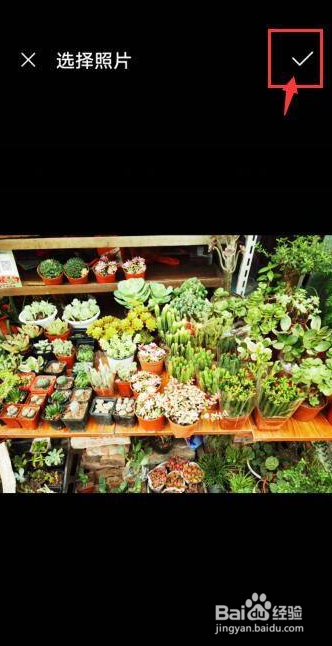 Snapseed如何锐化图片