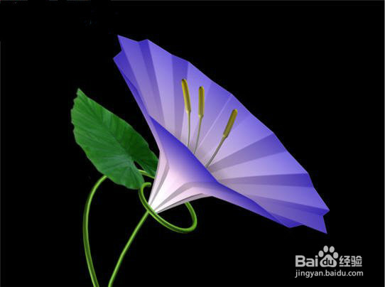 3ds Max教程:庭院中美丽清新紫色牵牛花