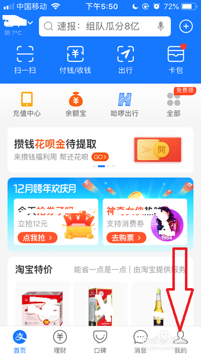 支付宝月账单哪里看