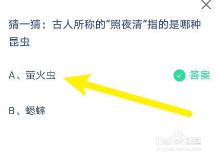 蚂蚁庄园：古人所称的“照夜清