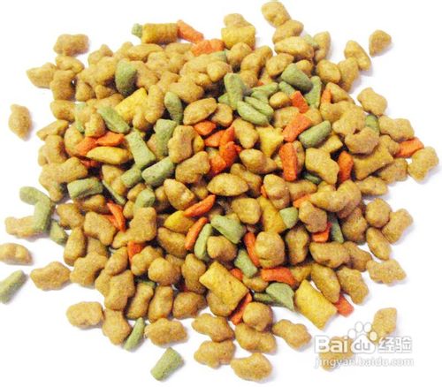 夏季如何更好储存狗粮