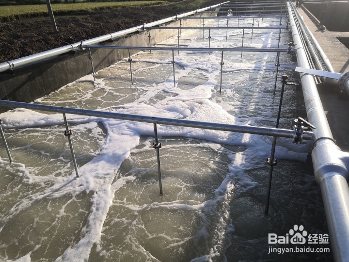 废水氨氮超标问题及处理方法