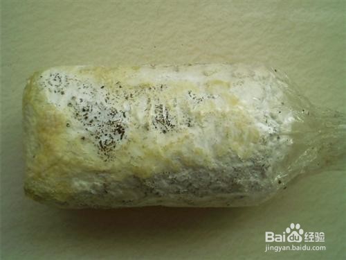 怎样在室内种植蘑菇