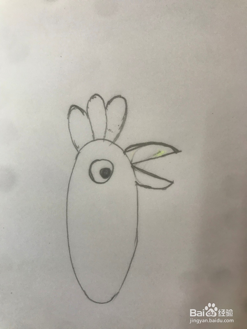 小猪佩琪里的鹦鹉波利如何画