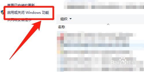 怎么安装 IIS 10.0 万维网服务功能?
